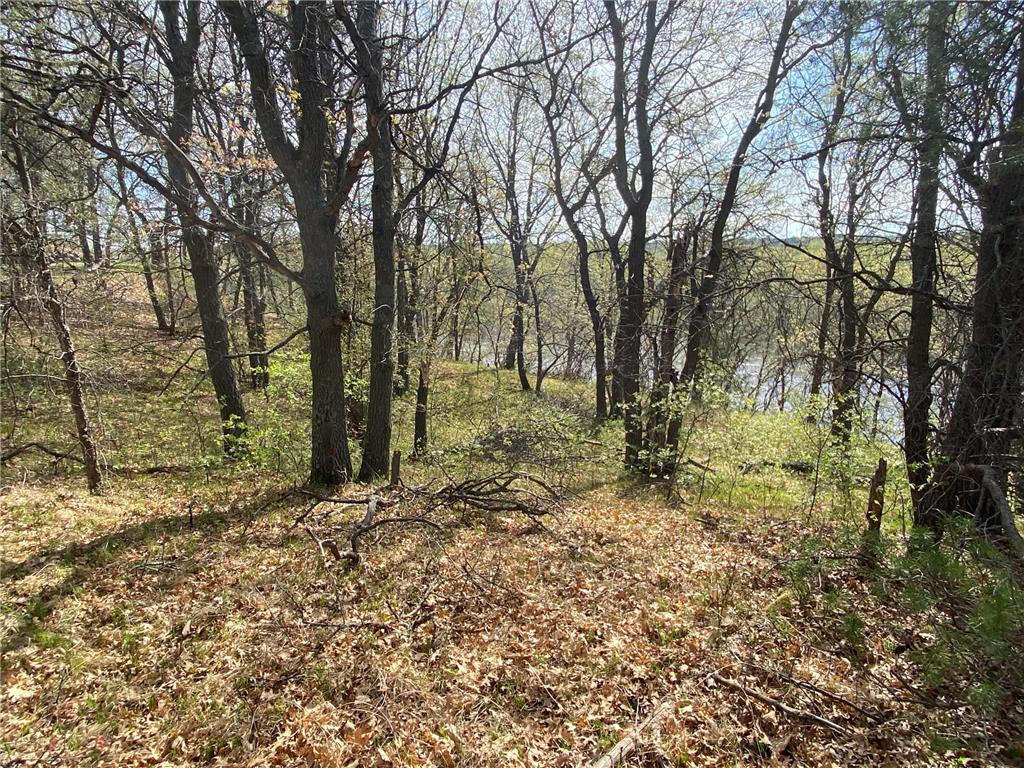 TBD Eagle Ridge Baxter MN 56425 - Mississippi 6801182 image7