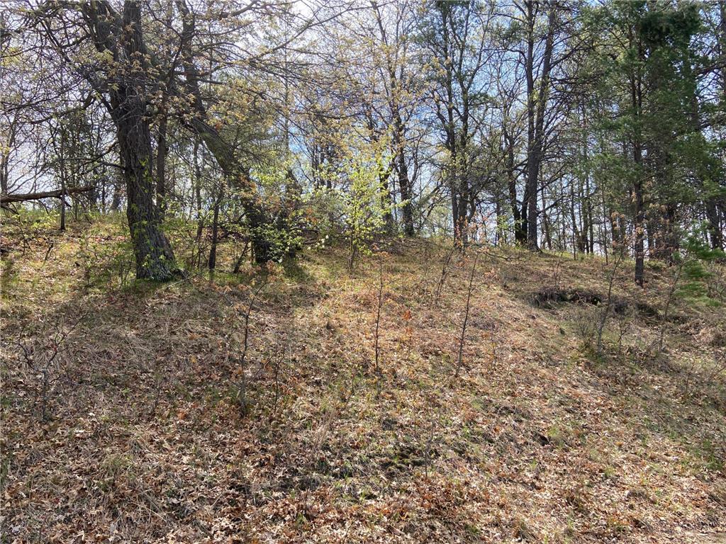 TBD Eagle Ridge Baxter MN 56425 - Mississippi 6801182 image9