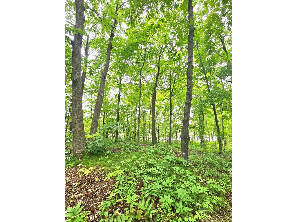 TBD East Grace Street Isle MN 56342 6562920 image11