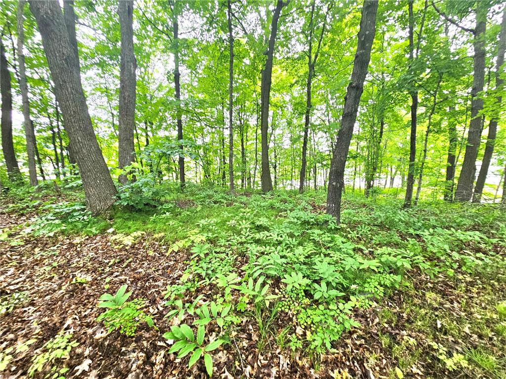 TBD East Grace Street Isle MN 56342 6562920 image12