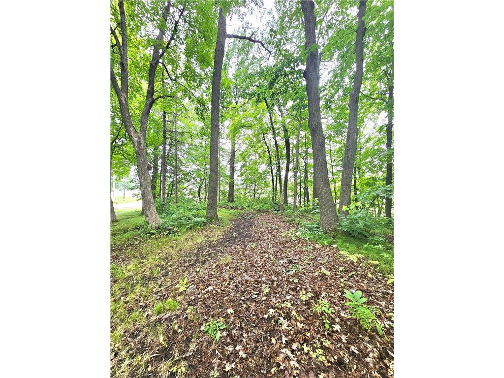 TBD East Grace Street Isle MN 56342 6562920 image15