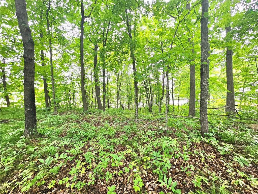 TBD East Grace Street Isle MN 56342 6562920 image3