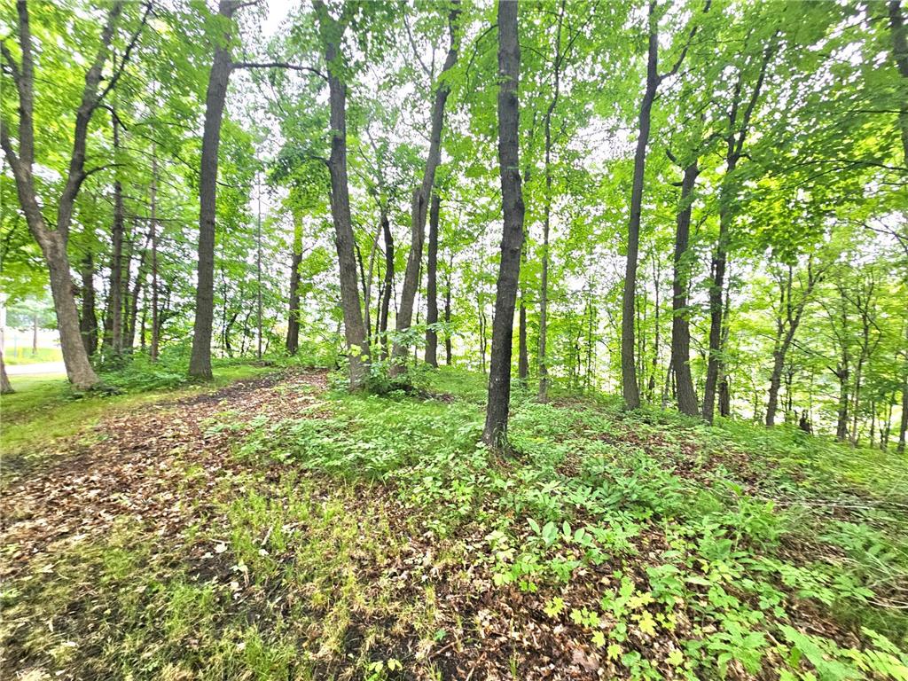 TBD East Grace Street Isle MN 56342 6562920 image5