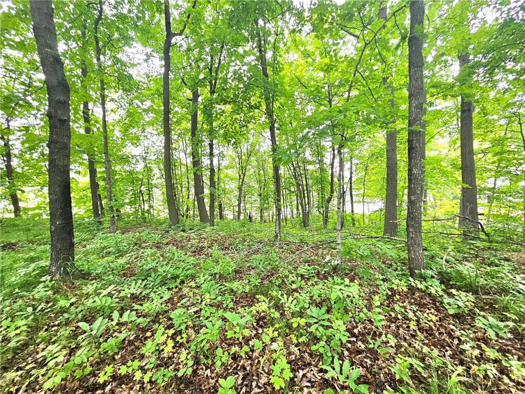 TBD East Grace Street Isle MN 56342 7103278 image3