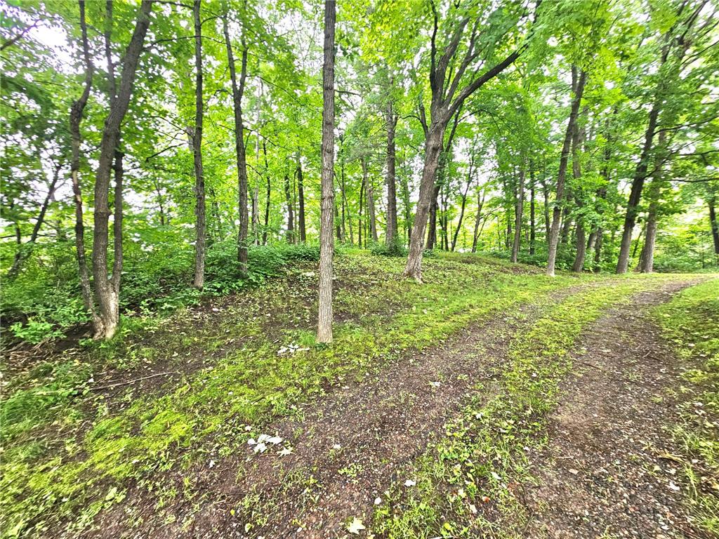 TBD East Grace Street Isle MN 56342 7103278 image4