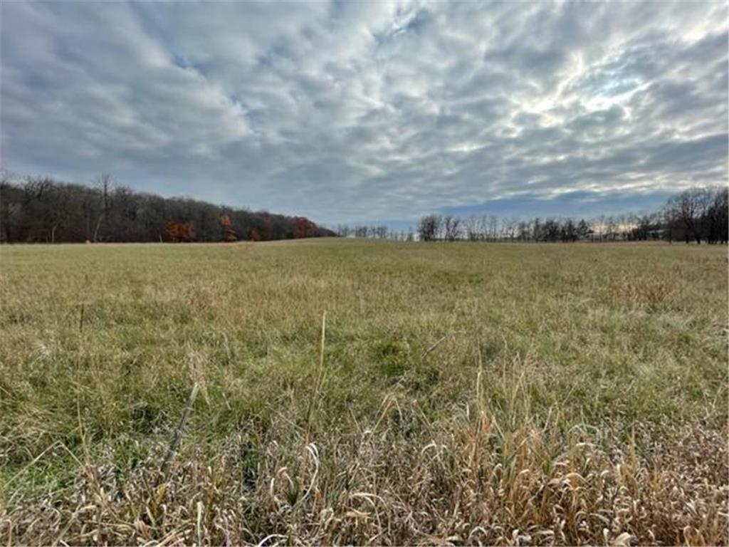 TBD Edgewater Lane Little Sauk Twp MN 56347 - Maple Lake 6466031 image1