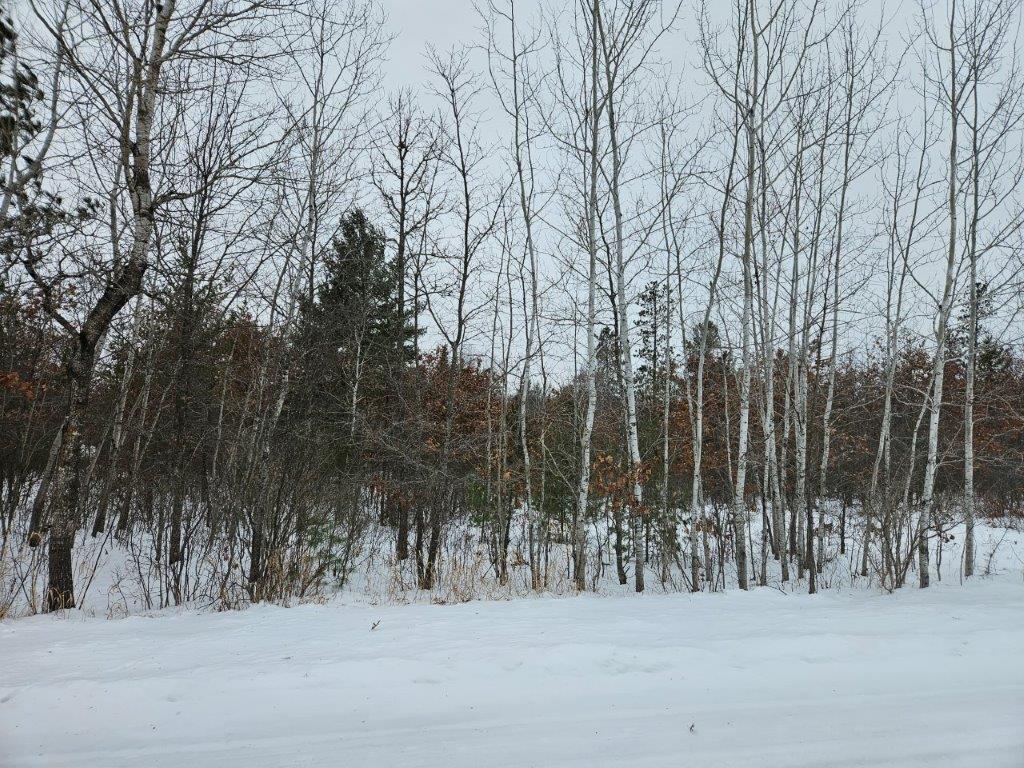 TBD Edgewood Drive SE Bemidji MN 56601 6650371 image1