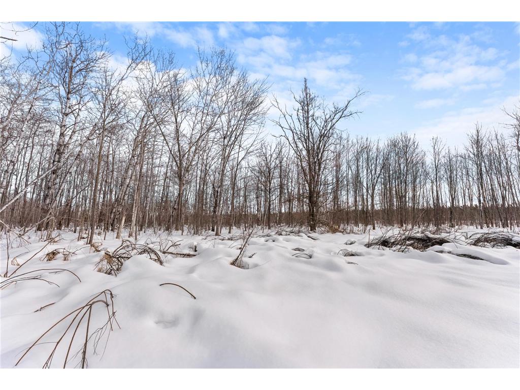 TBD Eldorado Roosevelt Twp MN 56450 7009948 image10