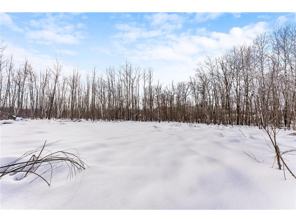 TBD Eldorado Roosevelt Twp MN 56450 7009948 image11
