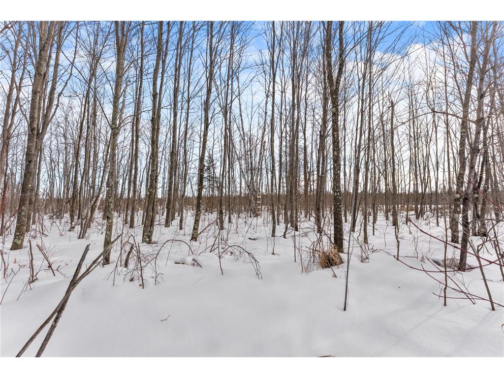 TBD Eldorado Roosevelt Twp MN 56450 7009948 image12