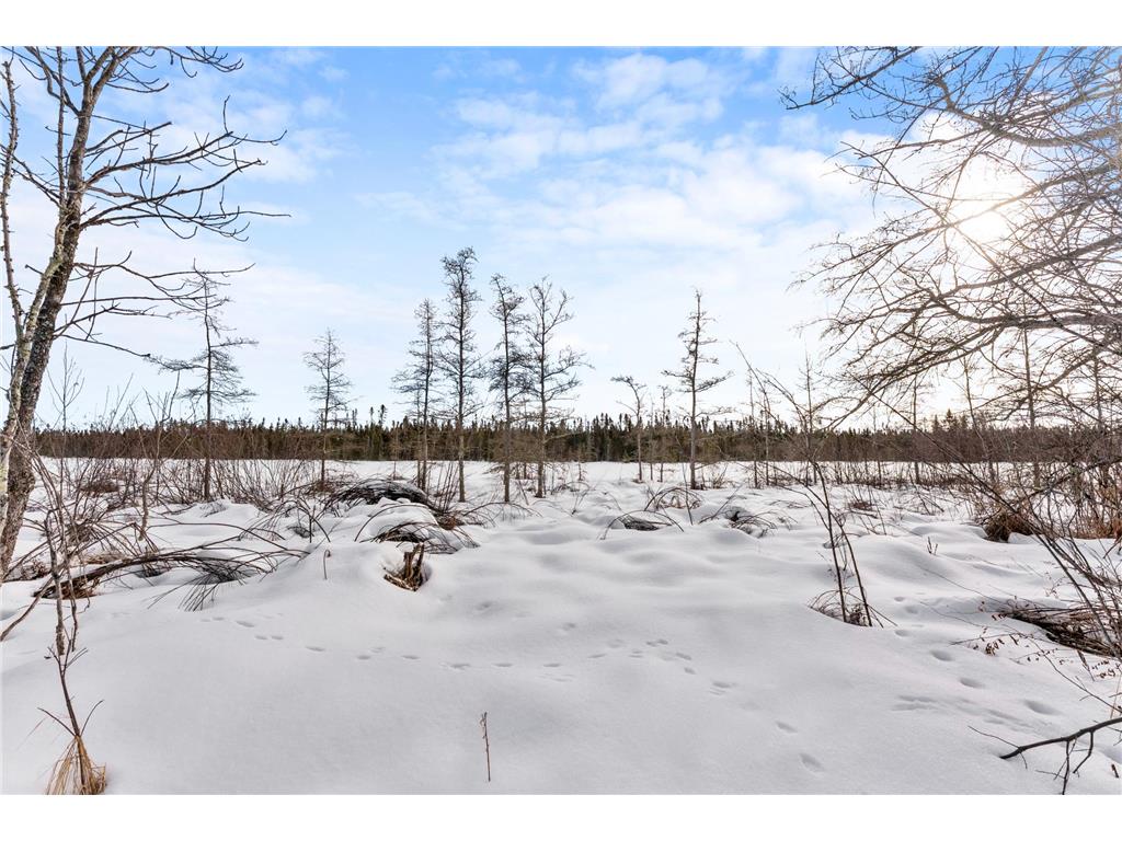 TBD Eldorado Roosevelt Twp MN 56450 7009948 image13