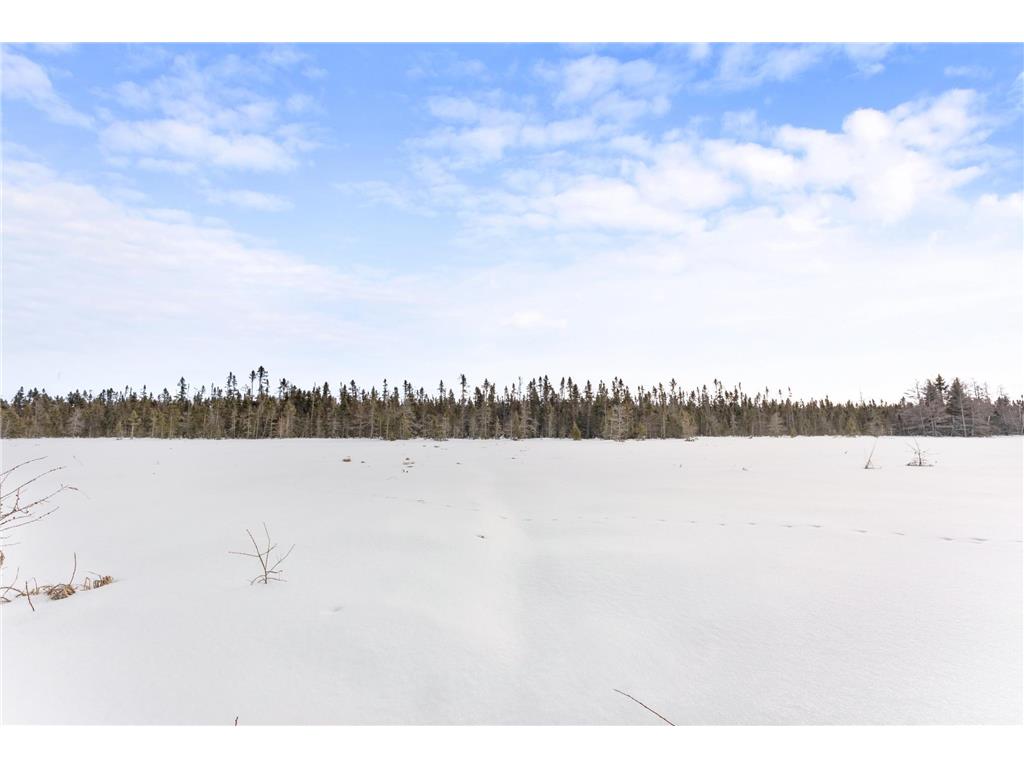 TBD Eldorado Roosevelt Twp MN 56450 7009948 image14