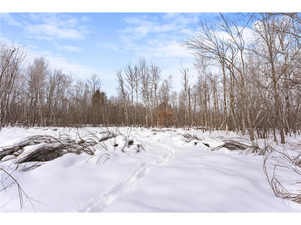 TBD Eldorado Roosevelt Twp MN 56450 7009948 image15