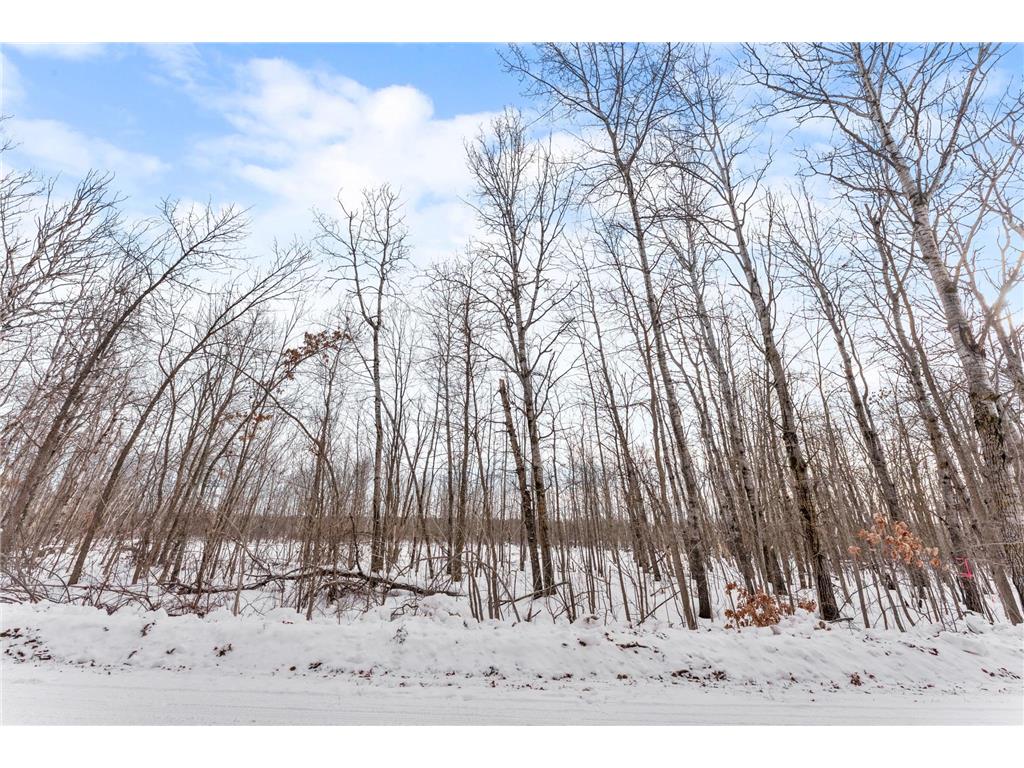 TBD Eldorado Roosevelt Twp MN 56450 7009948 image16