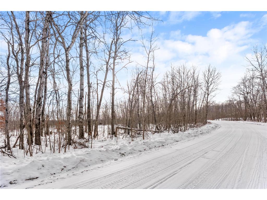 TBD Eldorado Roosevelt Twp MN 56450 7009948 image8