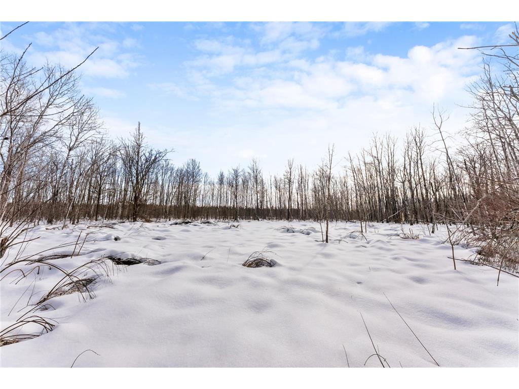 TBD Eldorado Roosevelt Twp MN 56450 7009948 image9