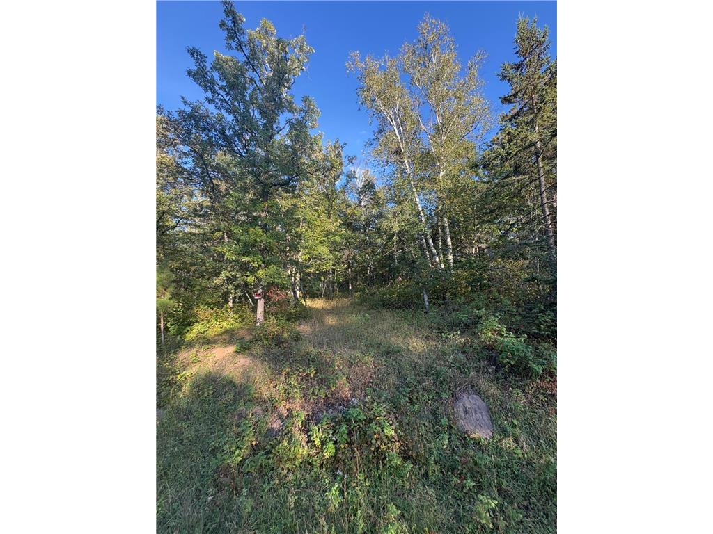 TBD Elm Trail Nevis MN 56467 6790290 image1