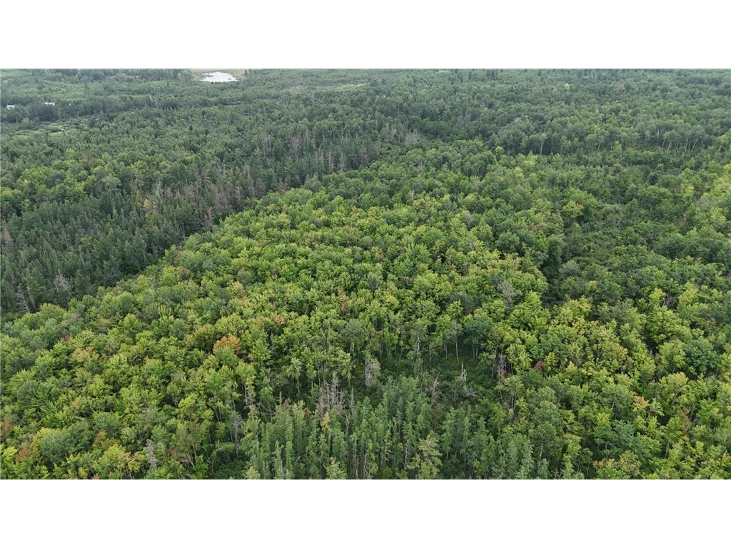 TBD Engine Hill Road Dairyland Twp WI 54830 6720746 image1