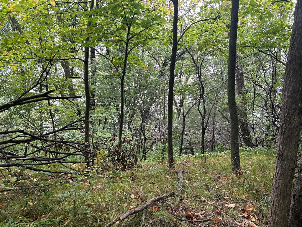 TBD Engstrom Way NW Ida Twp MN 56308 - Ida 6786053 image10