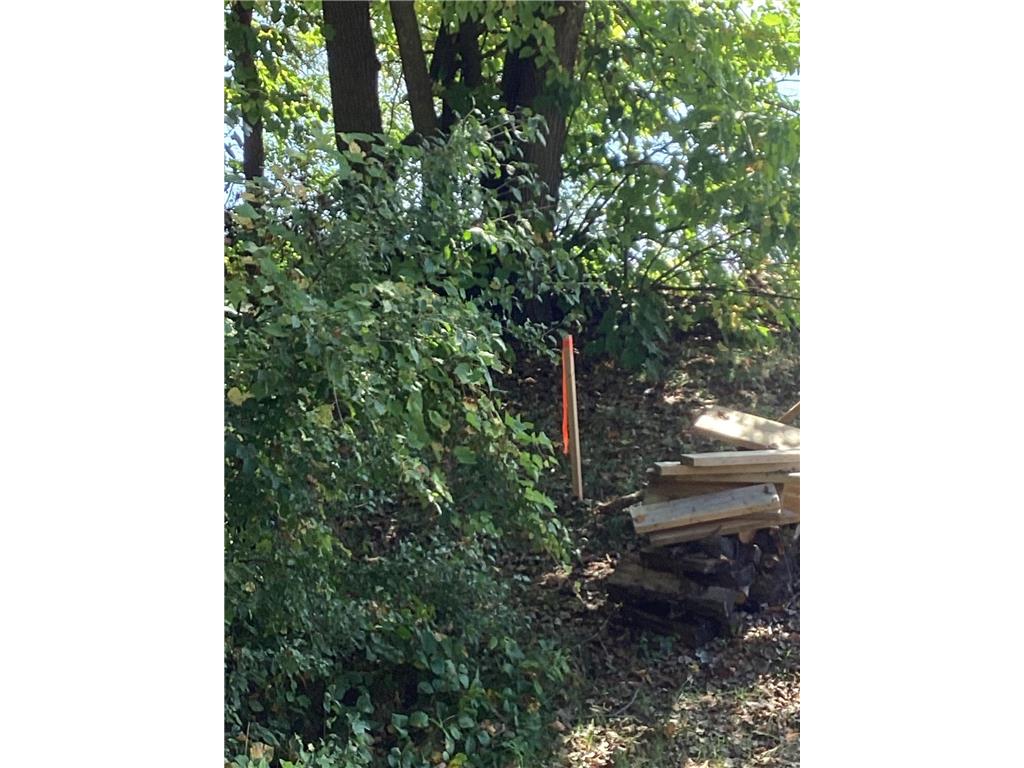 TBD Engstrom Way NW Ida Twp MN 56308 - Ida 6786053 image11