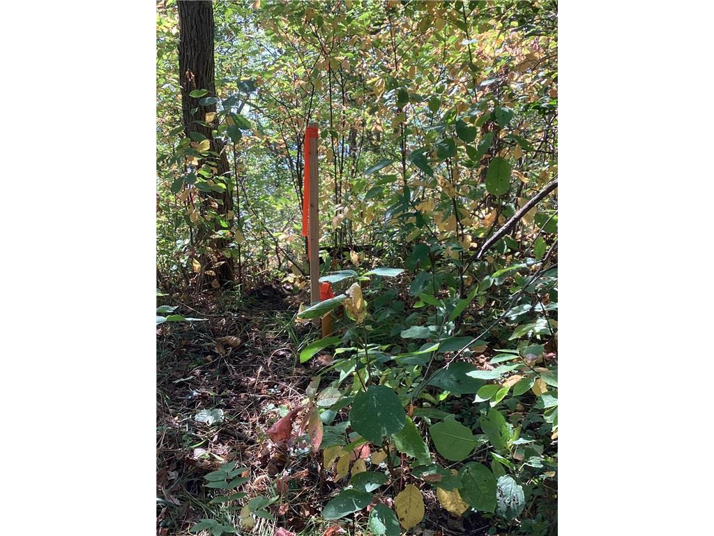 TBD Engstrom Way NW Ida Twp MN 56308 - Ida 6786053 image14