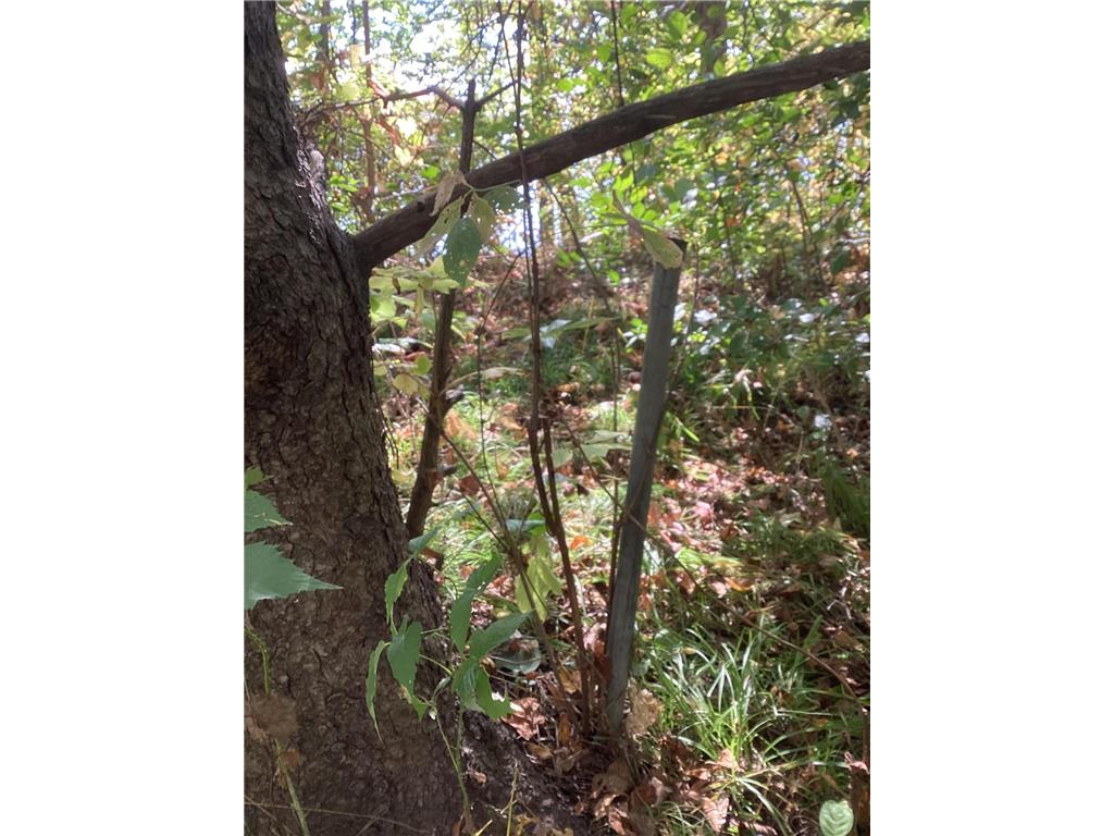 TBD Engstrom Way NW Ida Twp MN 56308 - Ida 6786053 image15