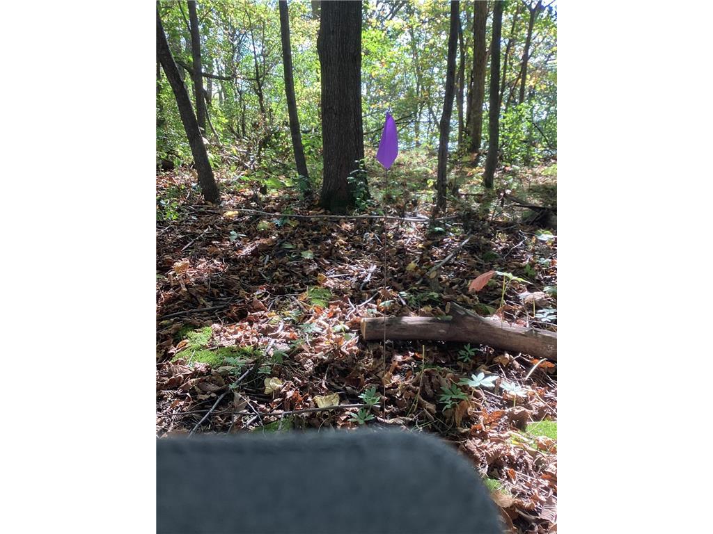 TBD Engstrom Way NW Ida Twp MN 56308 - Ida 6786053 image17