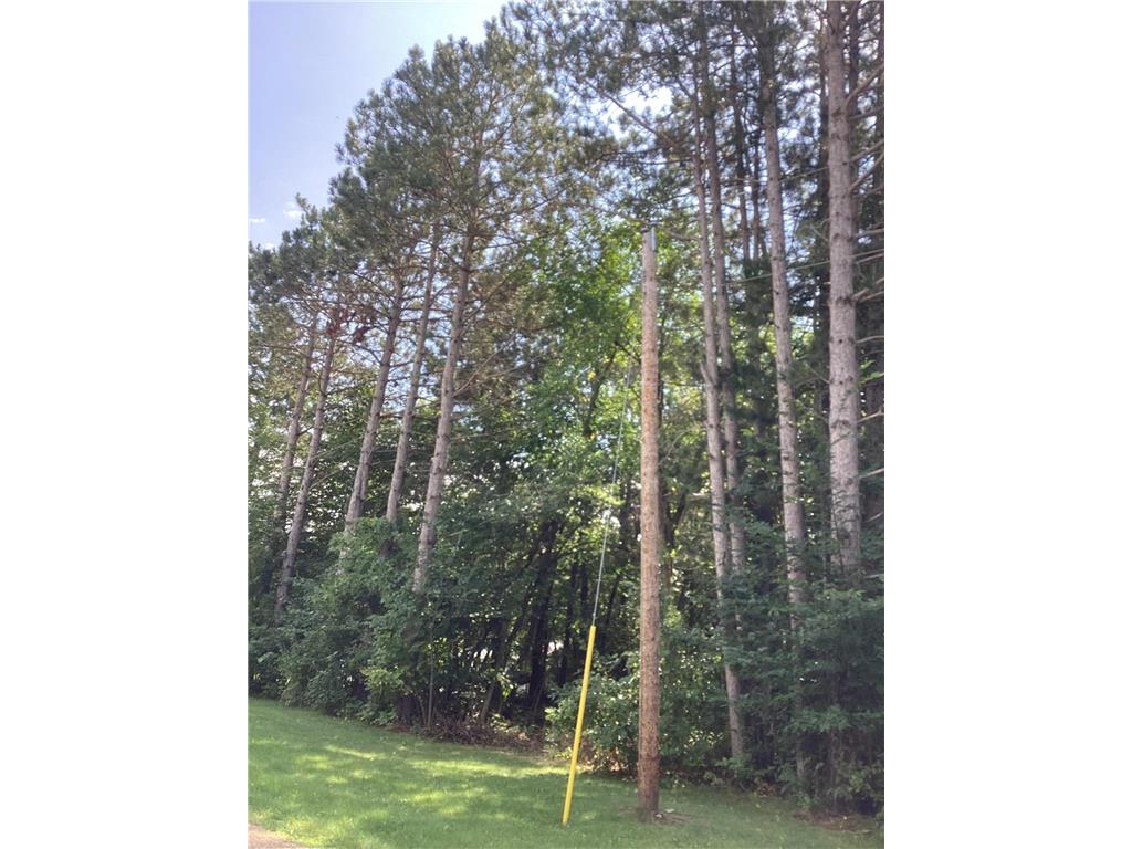 TBD Engstrom Way NW Ida Twp MN 56308 - Ida 6786053 image4