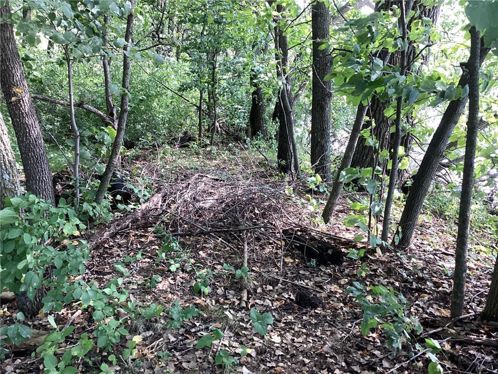 TBD Engstrom Way NW Ida Twp MN 56308 - Ida 6786053 image8