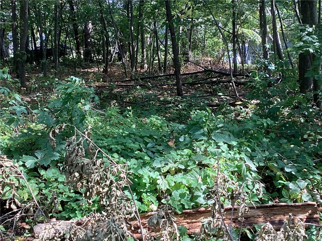 TBD Engstrom Way NW Ida Twp MN 56308 - Ida 6786053 image9