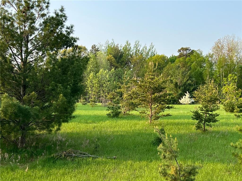 TBD Evenson Road Pequot Lakes MN 56472 6375176 image1