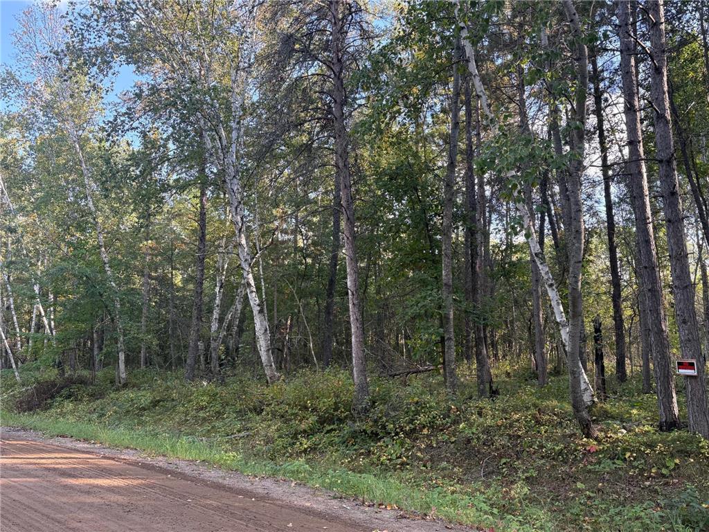 TBD Evergreen Drive Nevis MN 56467 6790296 image1