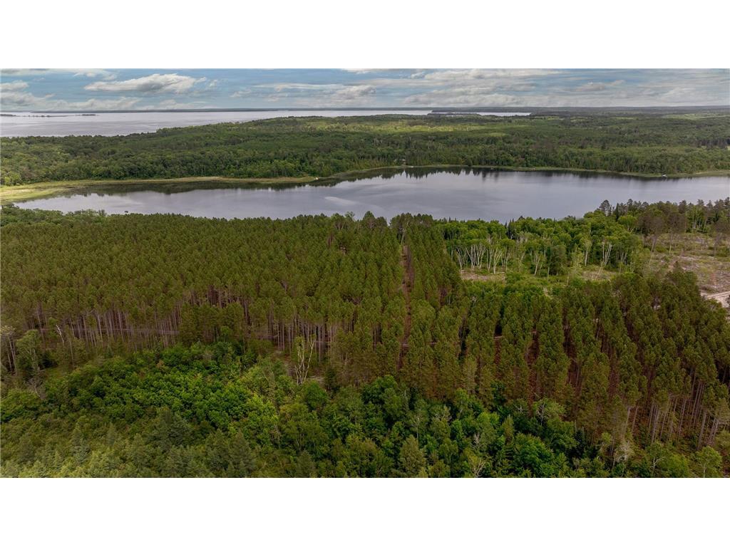 TBD FS 2666 Walker MN 56484 - Jack Lake 6745205 image1