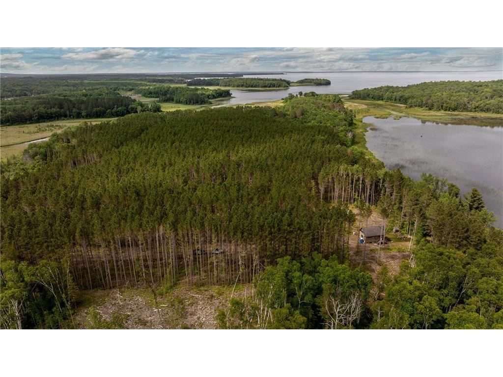TBD FS 2666 Walker MN 56484 - Jack Lake 6745205 image20