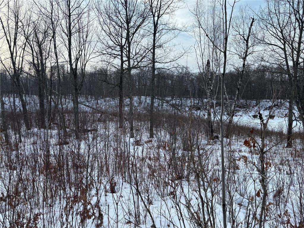 TBD Fawn Trail NE Longville MN 56655 - Fawn 7020428 image10
