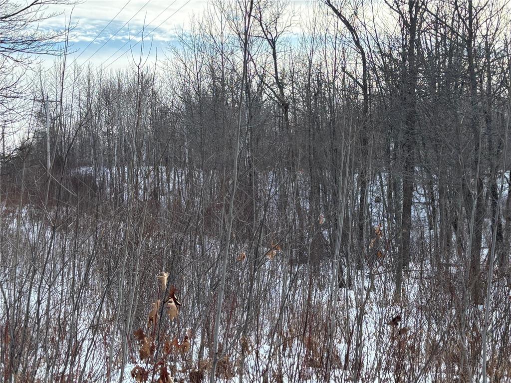 TBD Fawn Trail NE Longville MN 56655 - Fawn 7020428 image11