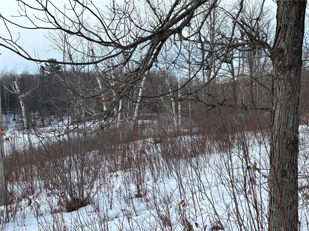 TBD Fawn Trail NE Longville MN 56655 - Fawn 7020428 image12