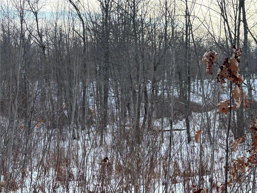 TBD Fawn Trail NE Longville MN 56655 - Fawn 7020428 image13