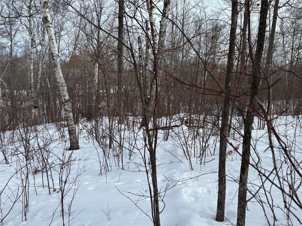 TBD Fawn Trail NE Longville MN 56655 - Fawn 7020428 image5
