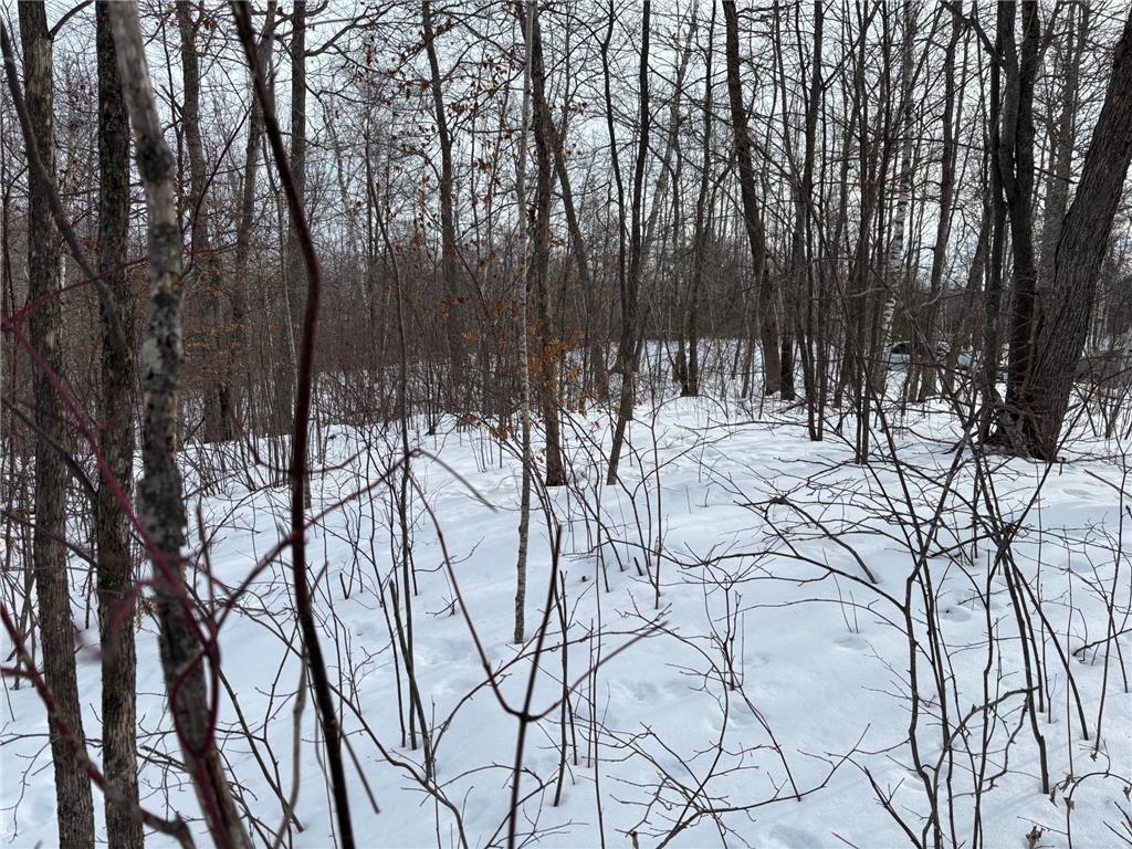 TBD Fawn Trail NE Longville MN 56655 - Fawn 7020428 image6