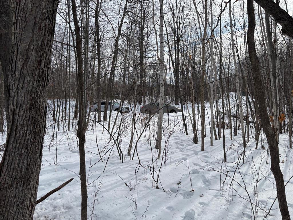 TBD Fawn Trail NE Longville MN 56655 - Fawn 7020428 image7