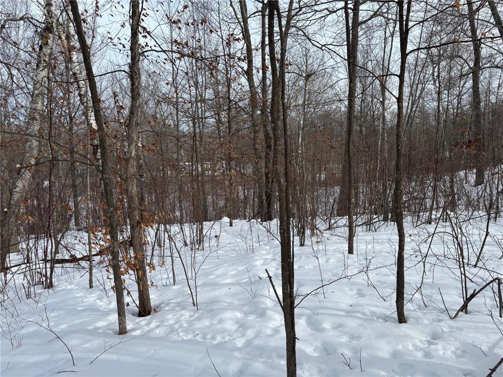 TBD Fawn Trail NE Longville MN 56655 - Fawn 7020428 image8