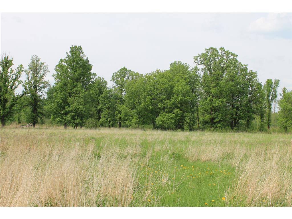 TBD Feeley 3 Feeley Twp MN 55793 6734189 image1