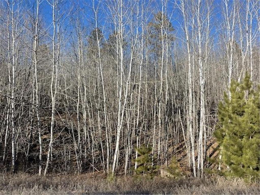 TBD Fenwick Circle Park Rapids MN 56470 6490525 image1