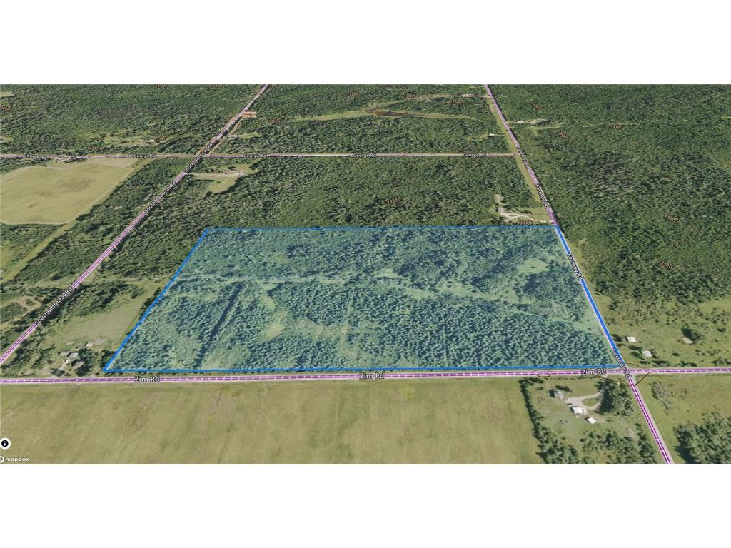 TBD Fermoy Road Mcdavitt Twp MN 55738 6808051 image13