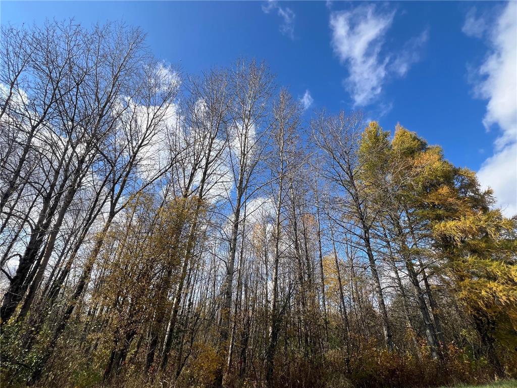 TBD Fermoy Road Mcdavitt Twp MN 55738 6808051 image17