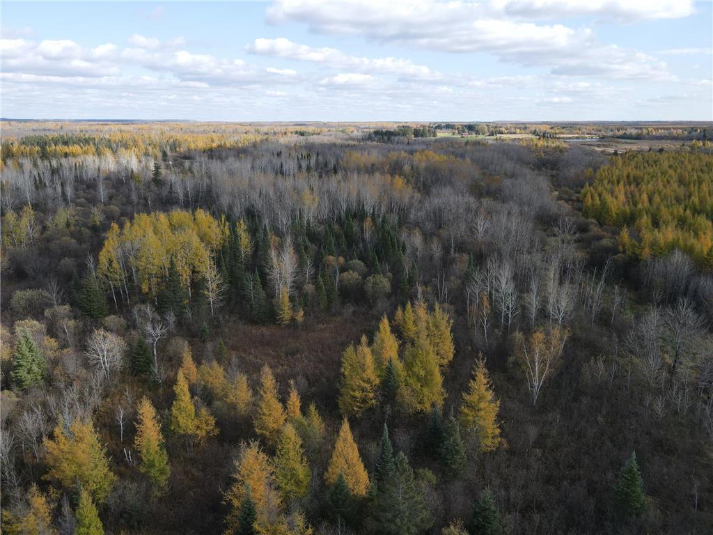 TBD Fermoy Road Mcdavitt Twp MN 55738 6808051 image19