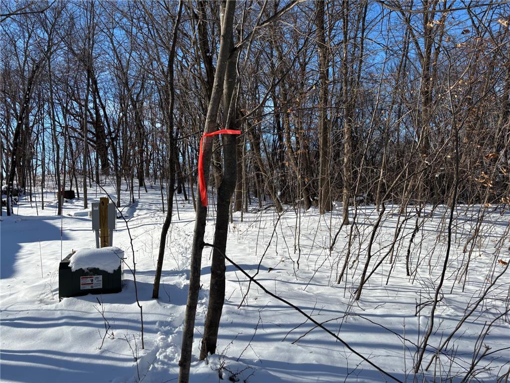 TBD Fern Lane Holmes City Twp MN 56343 - Oscar 7001874 image10