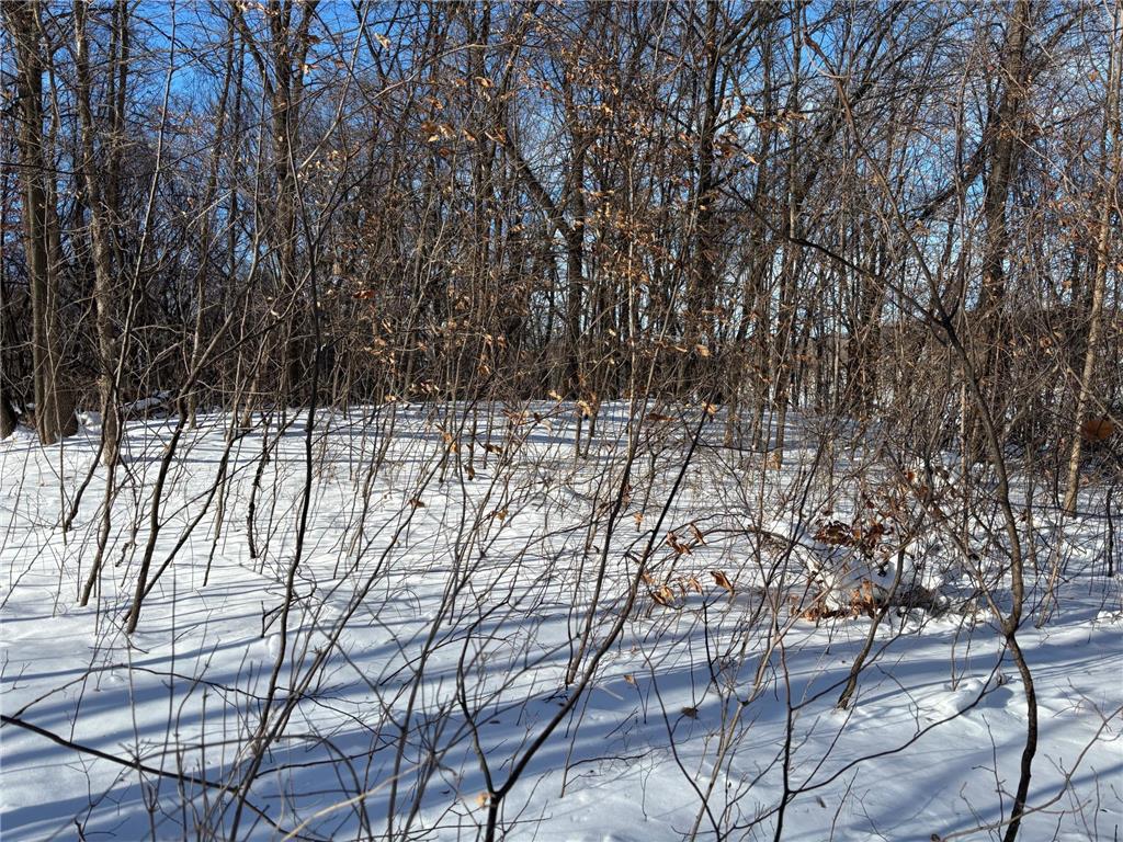 TBD Fern Lane Holmes City Twp MN 56343 - Oscar 7001874 image11