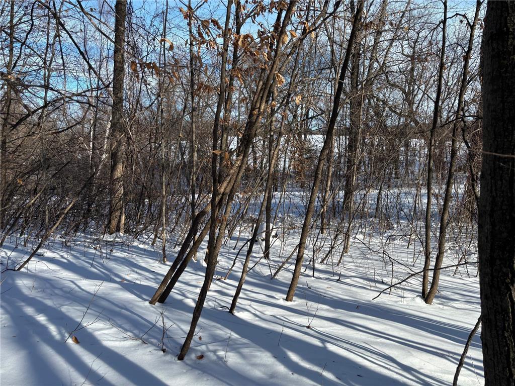 TBD Fern Lane Holmes City Twp MN 56343 - Oscar 7001874 image12